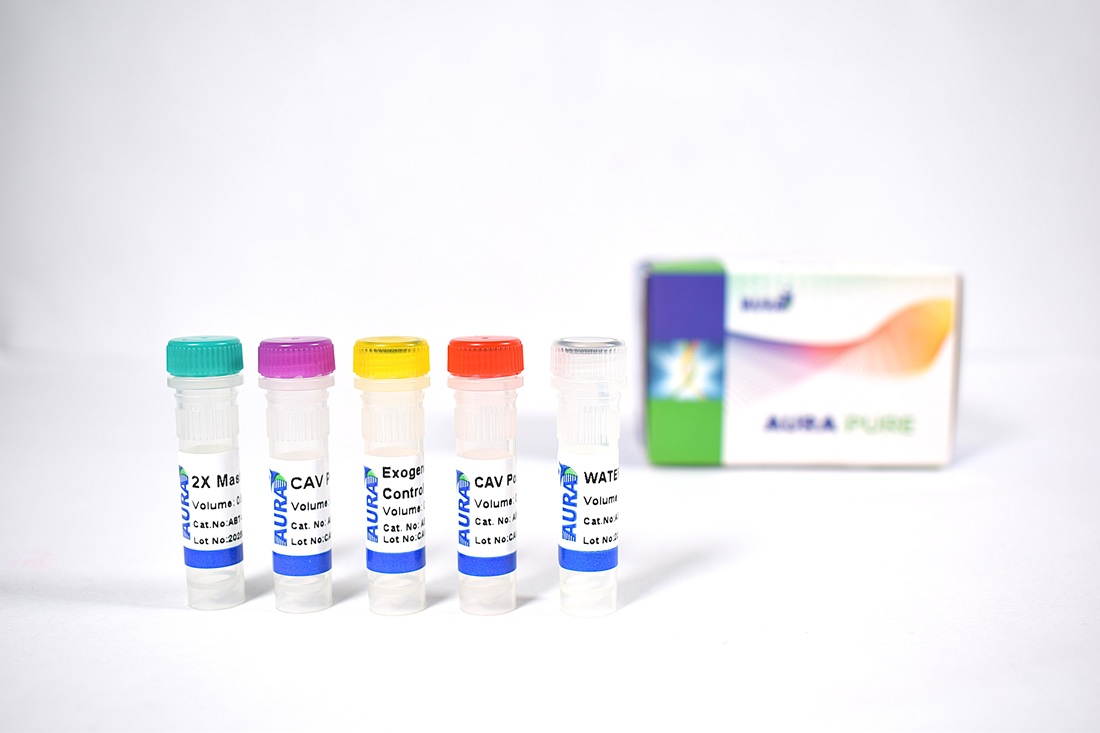 Chicken Anaemia Virus